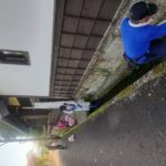 宮崎県日南市飫肥（おび）地区 鯉の水路掃除のお手伝い