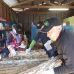 宮崎県諸塚村「原木椎茸の駒打ち作業」（ポイントボランティア）